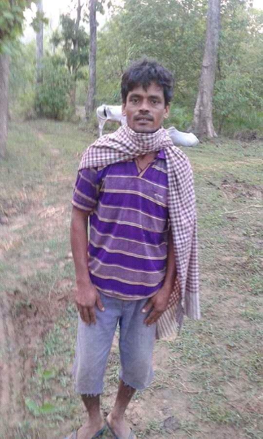 Cow smuggler arrested and handed over to police